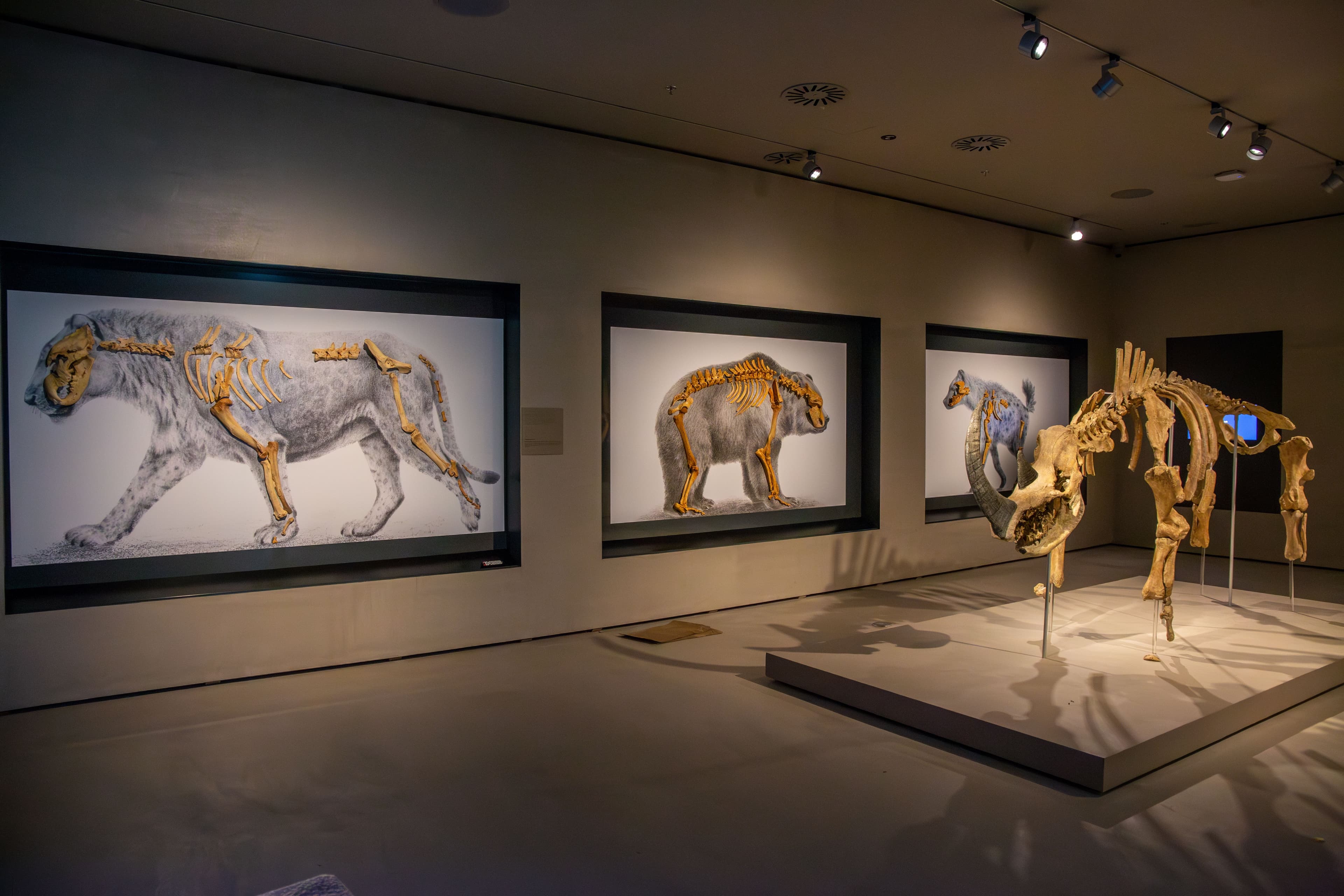 HRVATSKI PRIRODOSLOVNI MUZEJ-Interaktivna tehnologija koja podiže muzejsko iskustvo na novu razinu